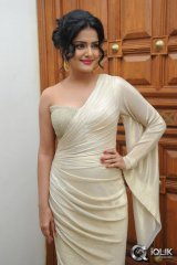 Vishakha Singh at Rowdy Fellow Movie Audio Launch